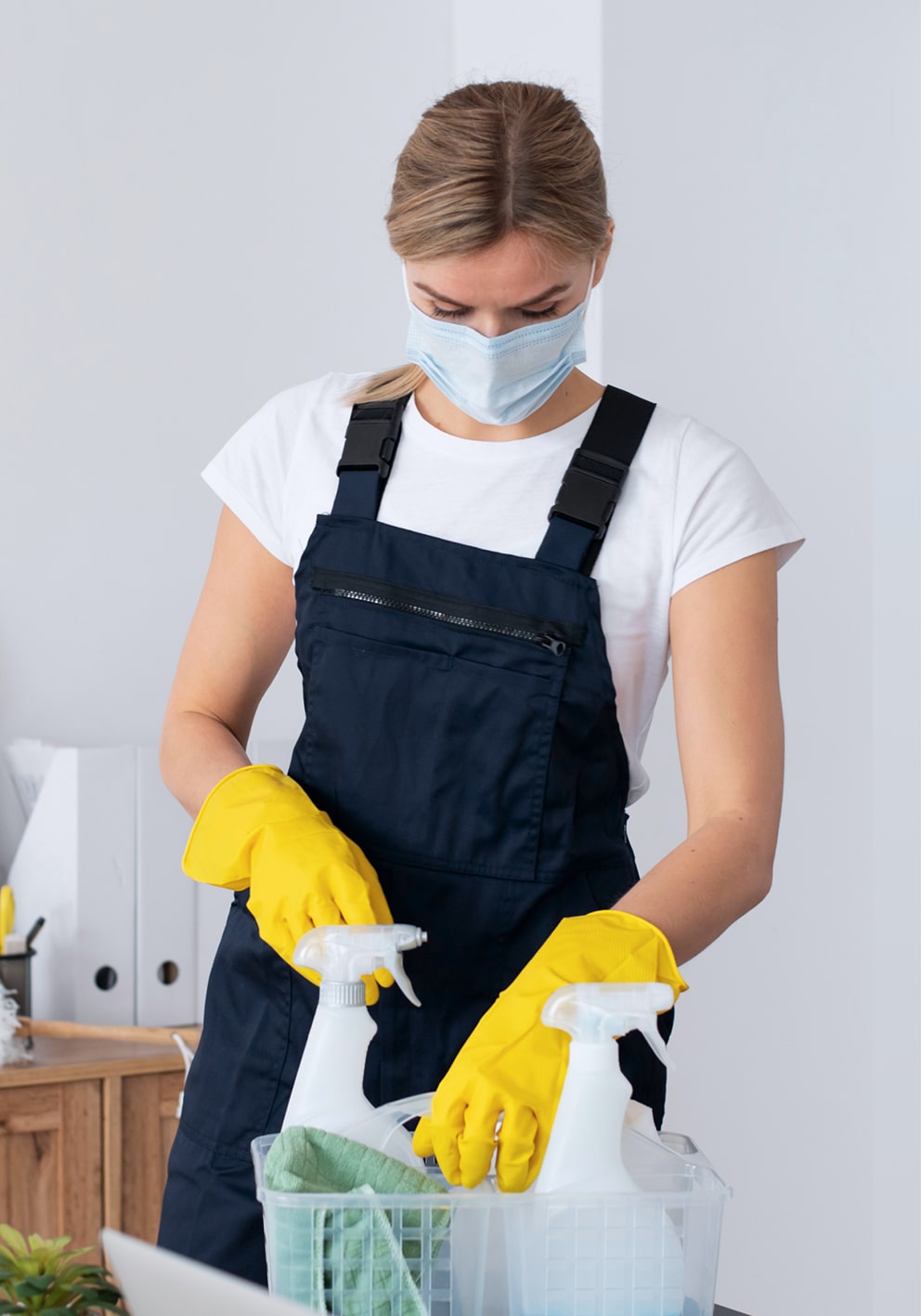 Professional Cleaning Services Mauritius